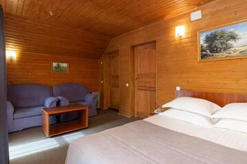 Двухместный номер эконом-класса с 1 кроватью в Отеле Bukovel Hotel